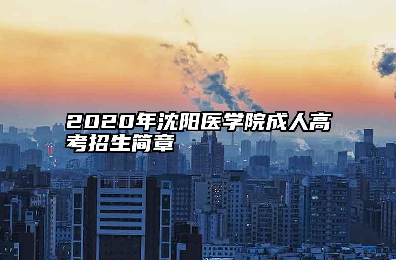 2020年沈阳医学院成人高考招生简章