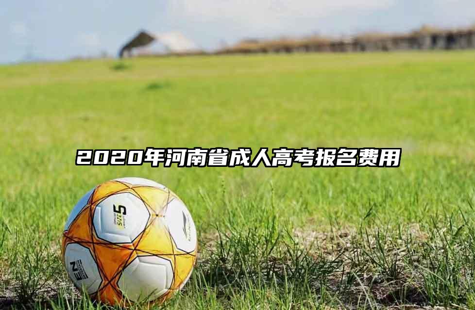 2020年河南省成人高考报名费用