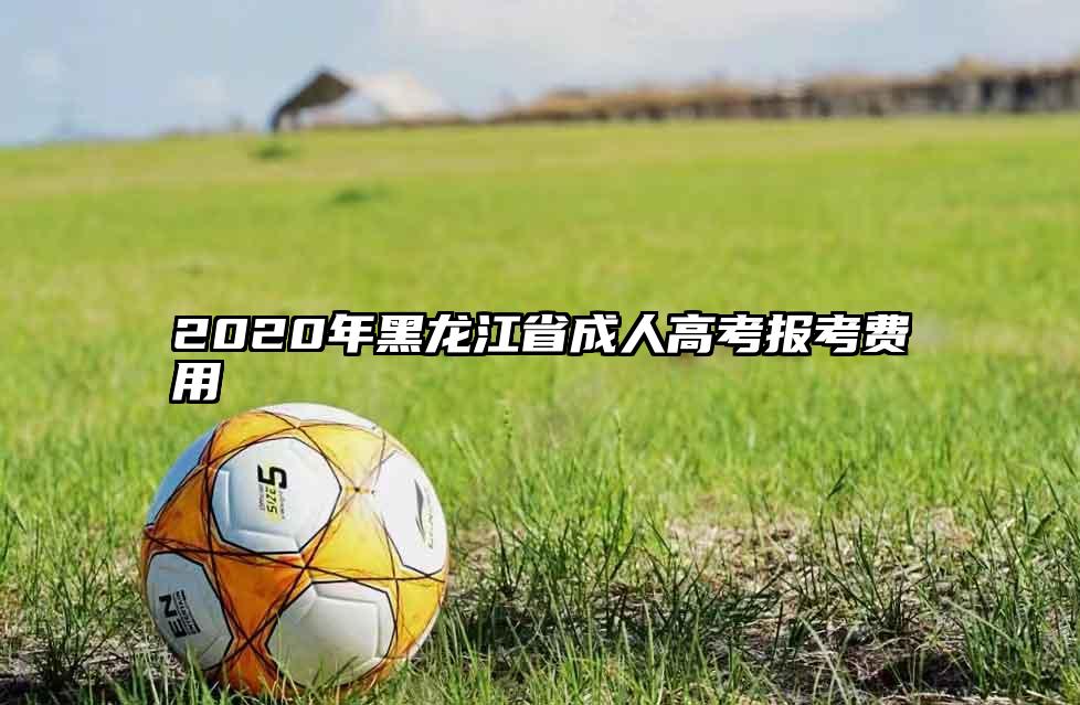 2020年黑龙江省成人高考报考费用