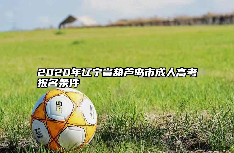 2020年辽宁省葫芦岛市成人高考报名条件