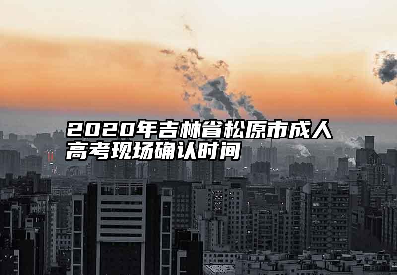 2020年吉林省松原市成人高考现场确认时间