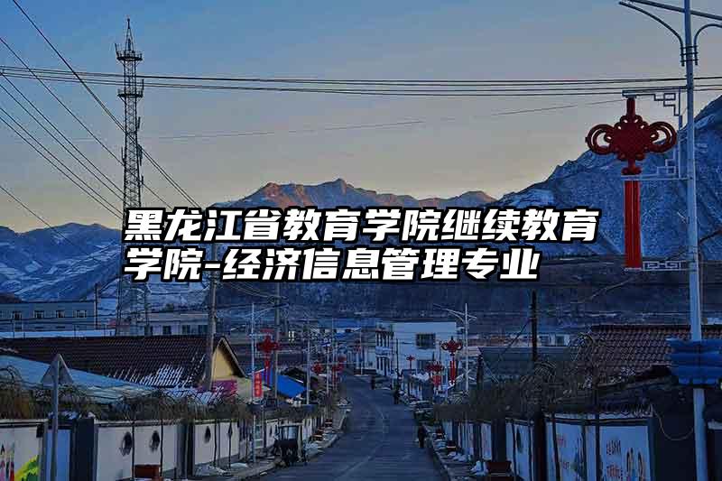 黑龙江省教育学院继续教育学院-经济信息管理专业