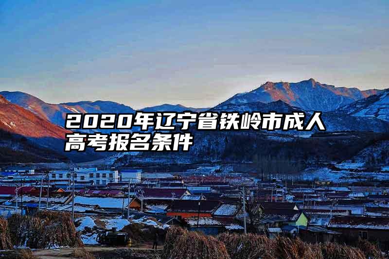 2020年辽宁省铁岭市成人高考报名条件