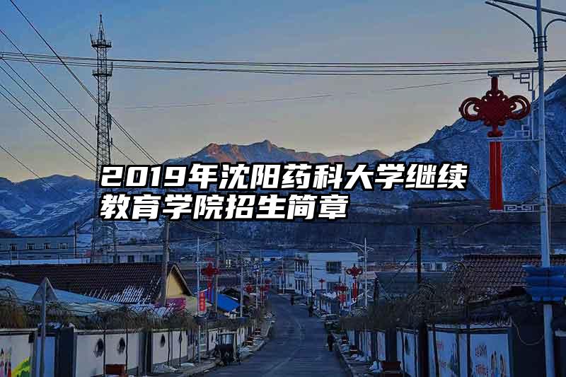 2019年沈阳药科大学继续教育学院招生简章
